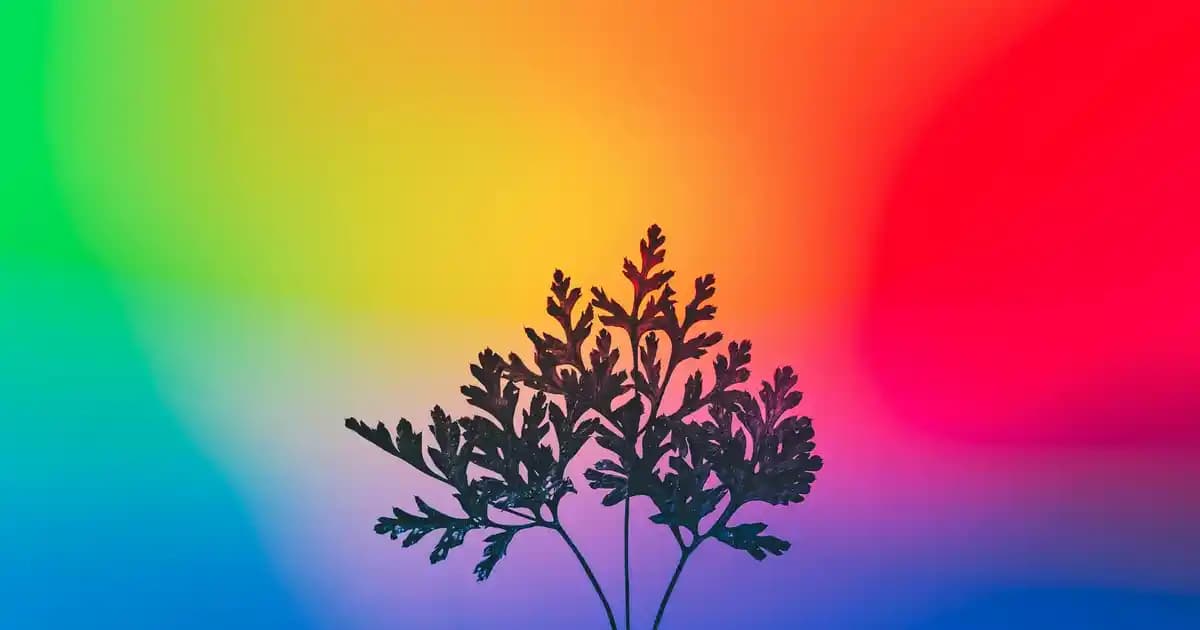 Seramik Yemek Masaları: Estetik ve Dayanıklılığı Bir Arada Sunan Modern Çözümler