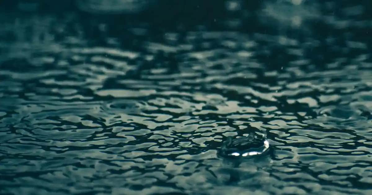 Silindir Vazolar ile Dekorasyonunuzu Şıklıkla Tamamlayın Modern ve Çok Yönlü Tasarımlar