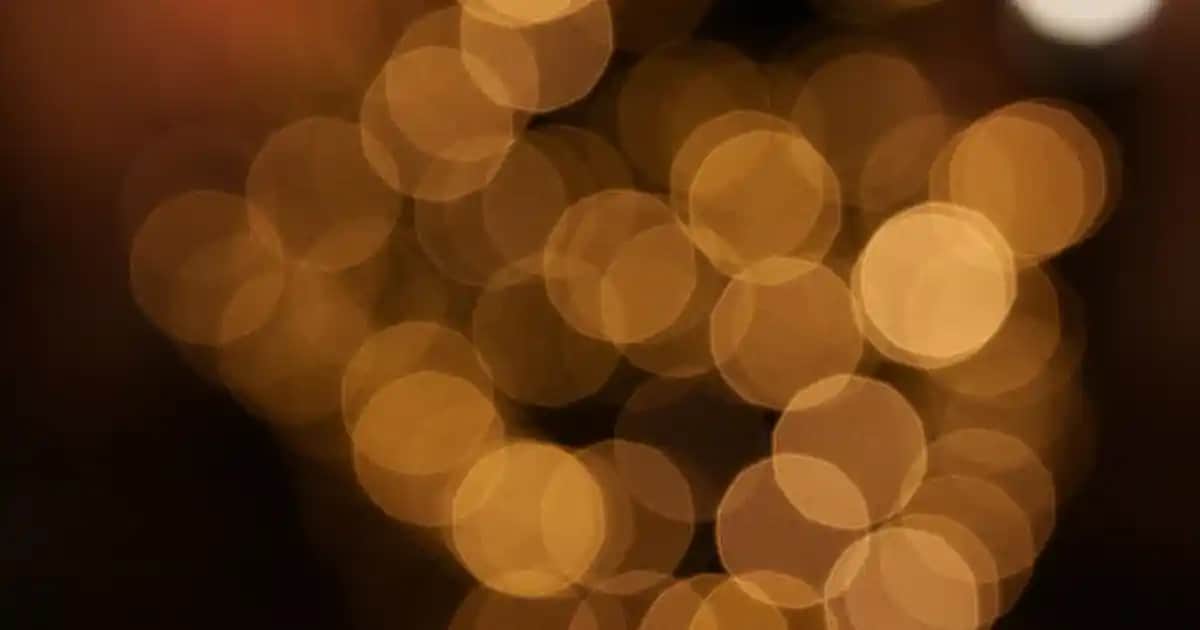 Siyah Vazolar ile Modern ve Şık Dekorasyon Fikirleri ve IKEA Seçenekleri