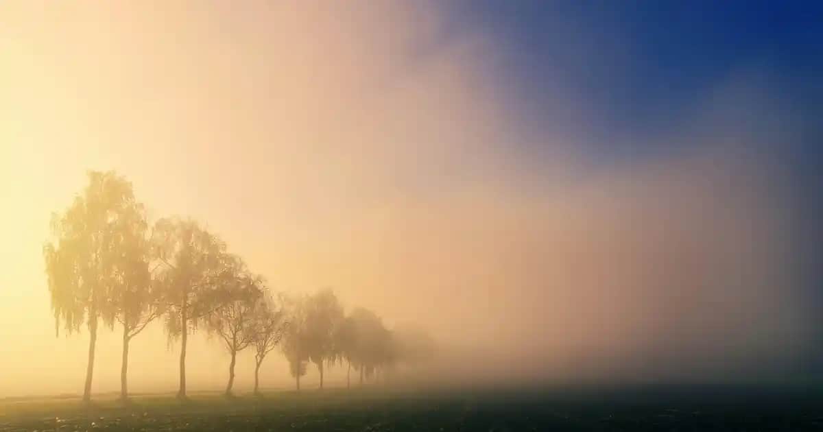 Snoopy Yatak Örtüsü Seçenekleri ve Odanızı Canlandıran Dekorasyon İpuçları