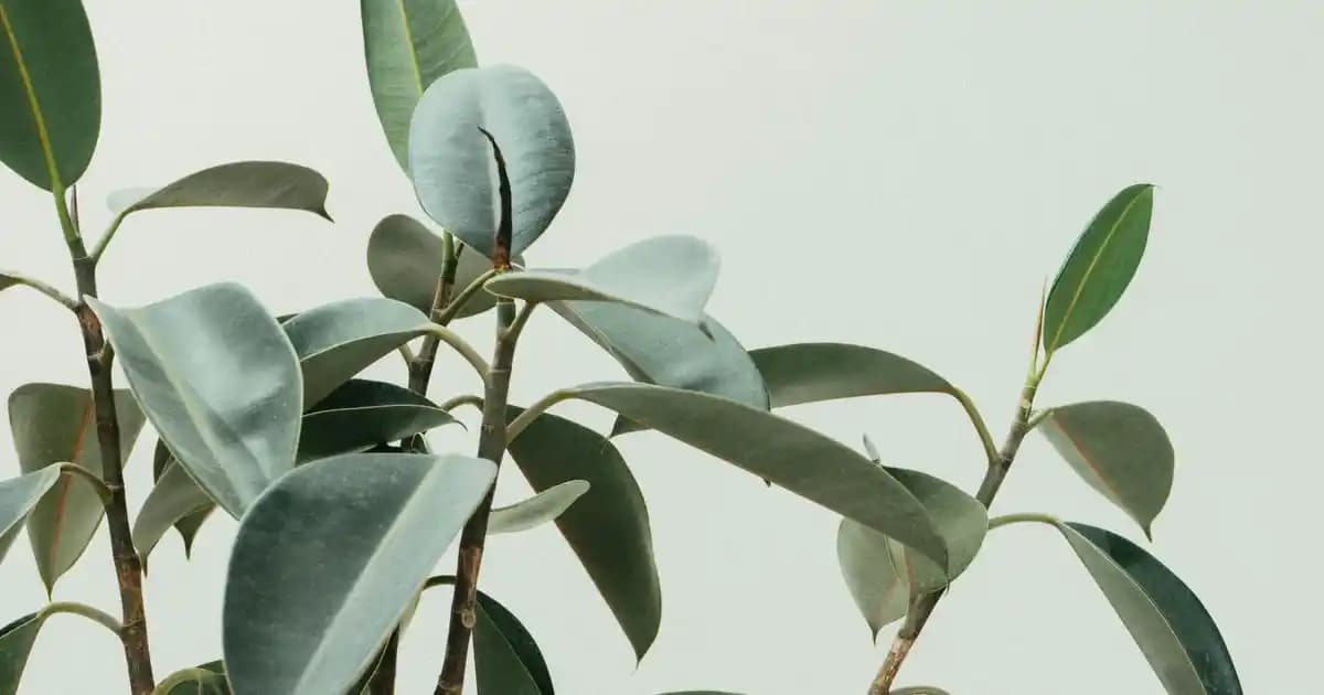 2025'te Spot Avize Modelleri: Evinizin Işığını ve Şıklığını Değiştirin