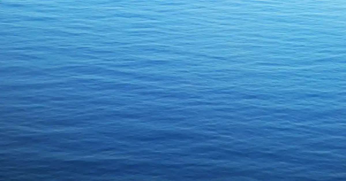 Tavşan Post Halı ile Evinize Şıklık ve Konfor Katmanın Yolları