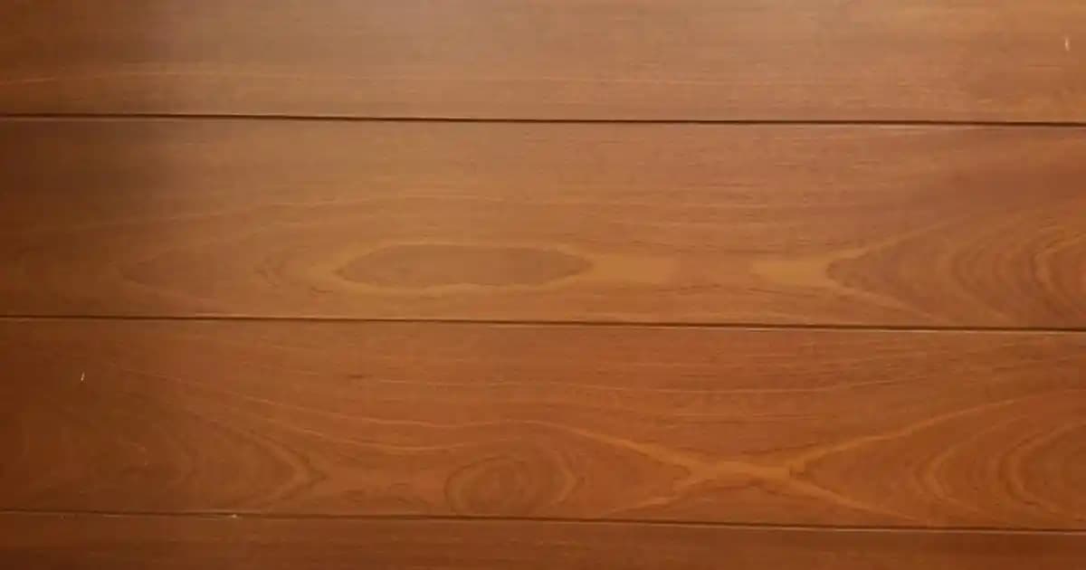 2025'te Tepsili Sehpa Modelleriyle Evinize Şıklık ve Pratiklik Katın