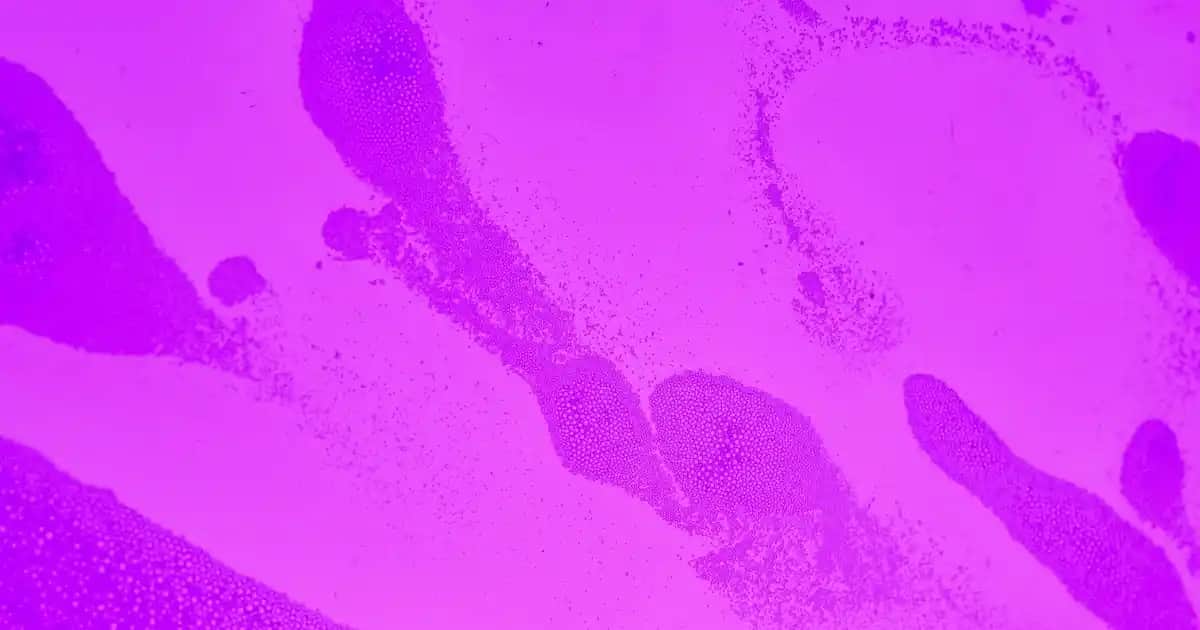 Tv Ünitesi Bibloları ile Dekorasyonunuzu Yenileyin Modern ve Şık Tasarımlarla Oturma Odalarınıza Estetik Katın