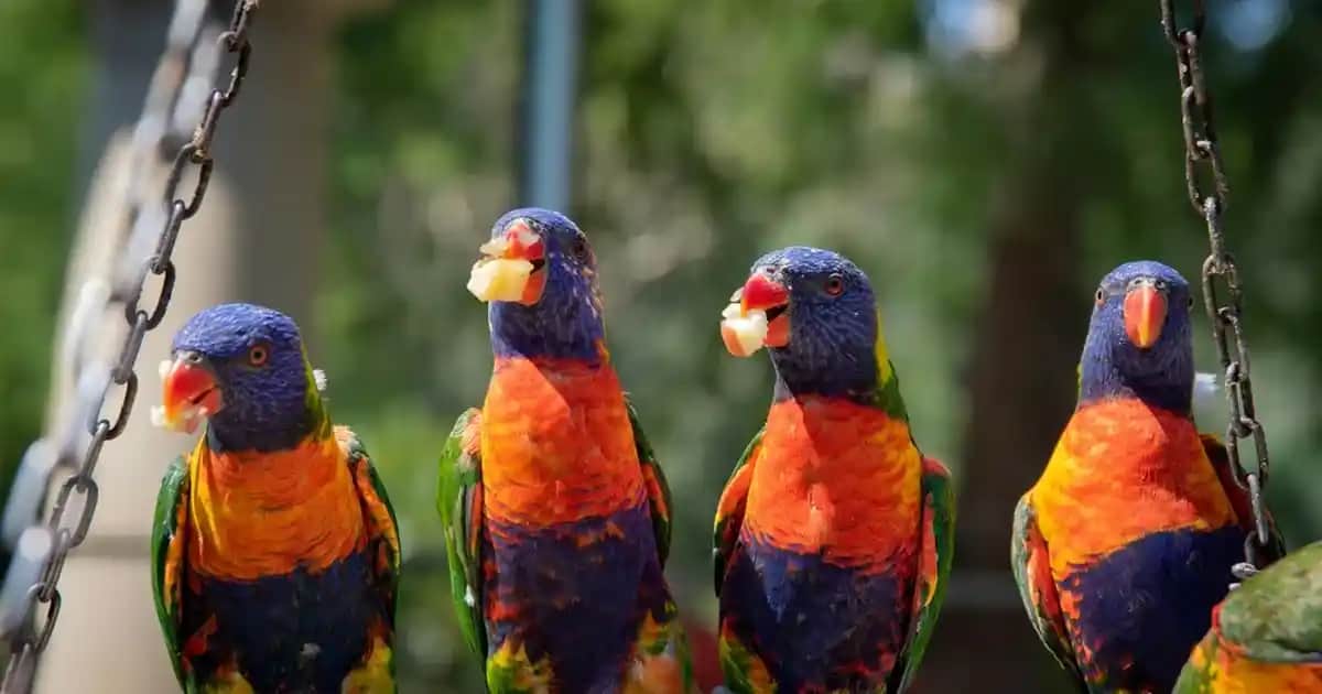 TV Ünitesi Kaplama Trendleri ve Modern Dekorasyon İçin En İyi Malzeme Seçenekleri