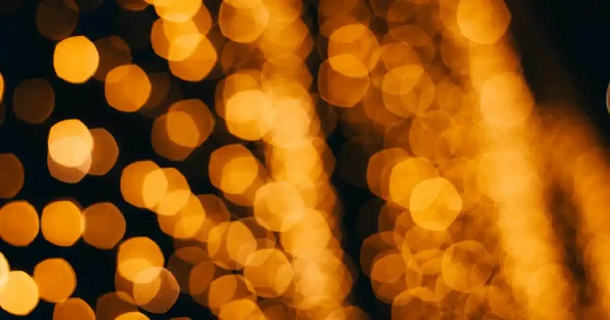 Ünlü Ressamların Yağlı Boya Çiçek Tabloları ile Dekorasyonunuza Sanat Katın