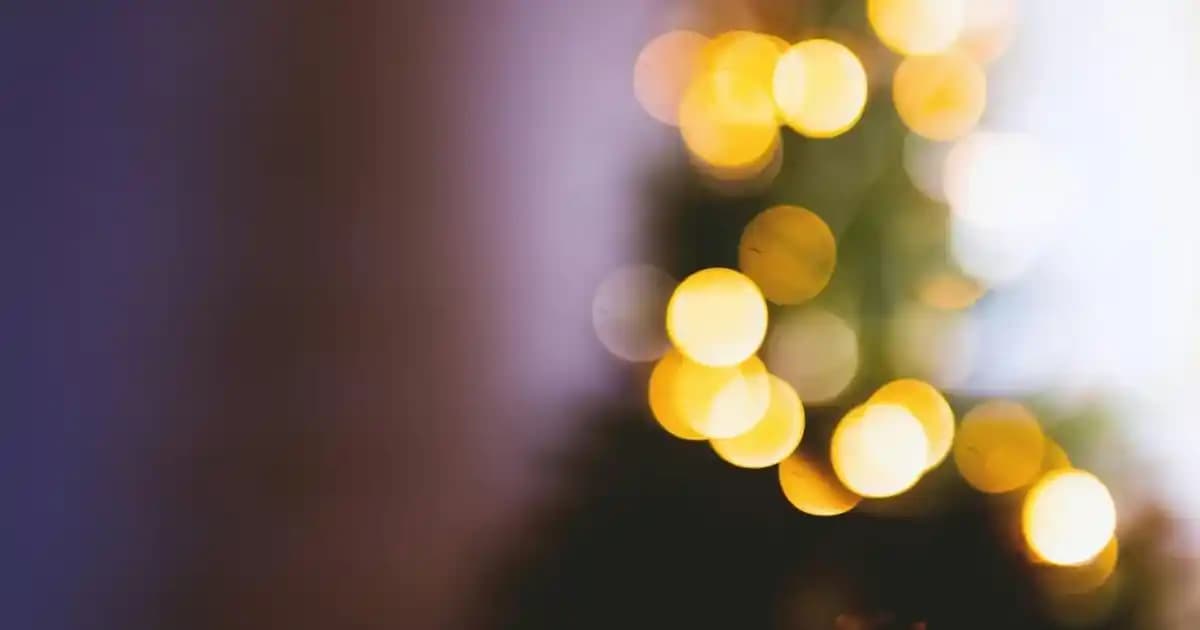 Uygun Fiyatlı Battaniyelerle Evinize Sıcaklık ve Dekorasyon Katmanın Yolları