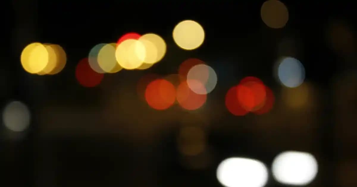 Uzun Vazo Çiçekleri ile Dekorasyonunuzu Şık ve Zarif Hale Getirin