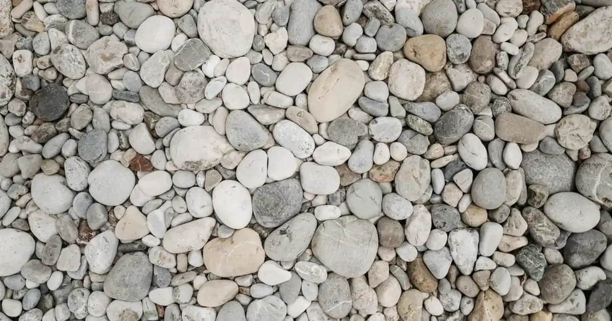 Vazo Tablo ile Modern ve Şık Dekorasyon Çözümleri ve Mekanlara Estetik Katma