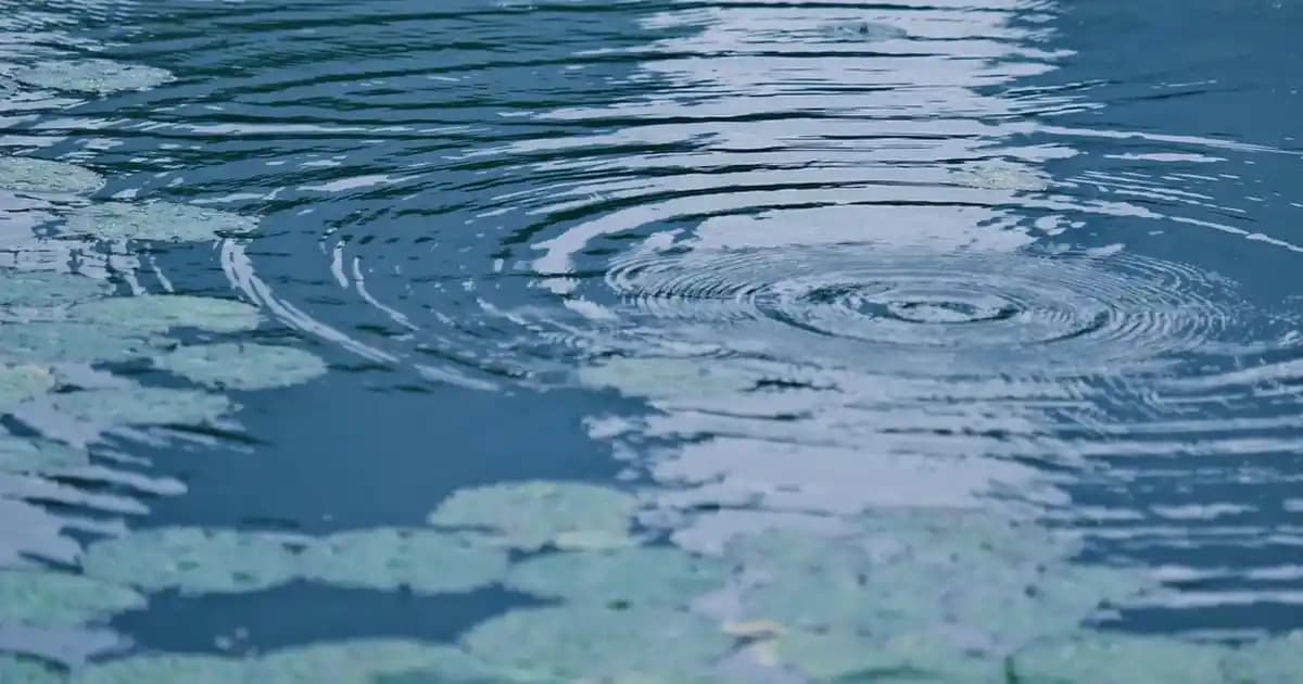 2025'te Vazolar ve Çiçeklerle Mekânınıza Şıklık Katmanın 5 Sırrı