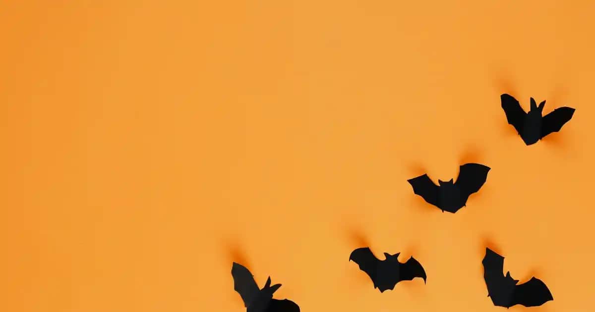 Vazoda Çiçeklerle Dekorasyonda Zarafetin Anahtarı: Estetik ve Şıklık İçin İpuçları