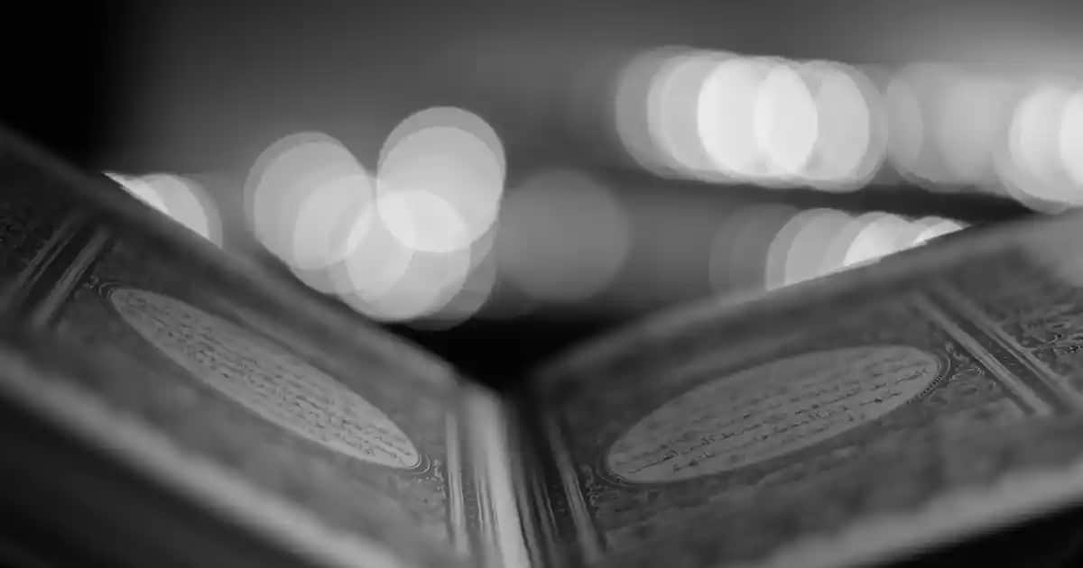 Vazoda Lale Bakımı ve Uzun Süre Taze Tutma Yöntemleri