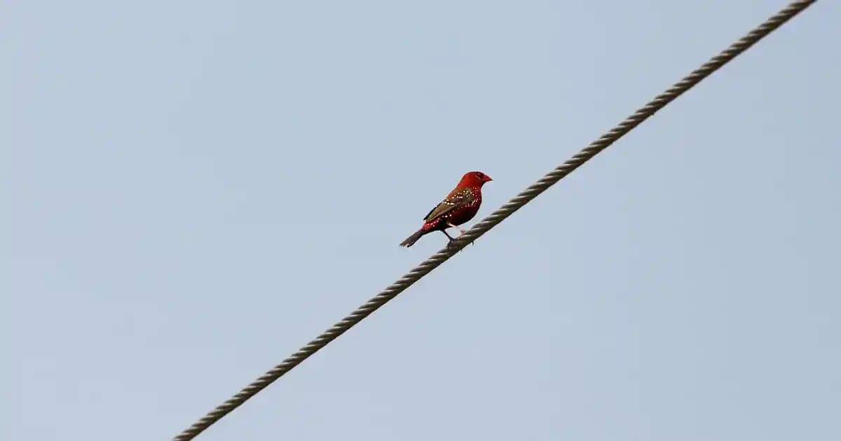 Yatak Odası Dekorasyonunda Aydınlatma Seçenekleri ve Ikea Ürünleri