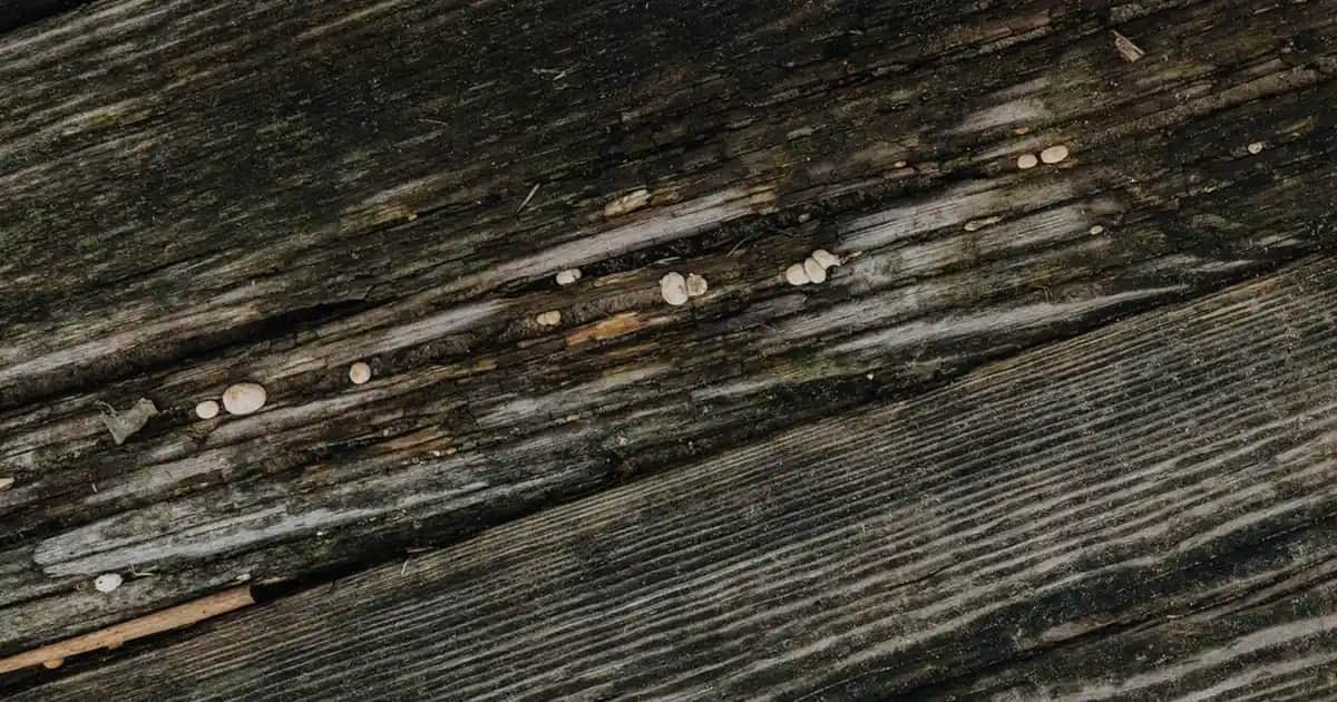 Yatak Odası Dekorasyonunda Led Avize Kullanımının Önemi ve Trend Modelleri