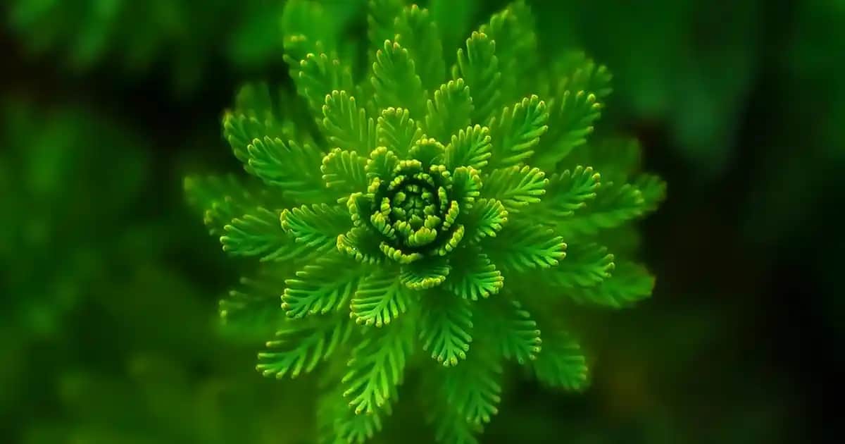 Yatak Odası Lambalarıyla Dekorasyonunuzu Geliştirin ve Atmosfer Yaratın