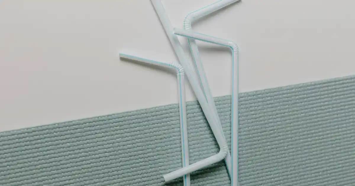 Yataklı berjerler: Çok fonksiyonlu ve şık mobilya seçeneği ile yaşam alanlarınızı zenginleştirin