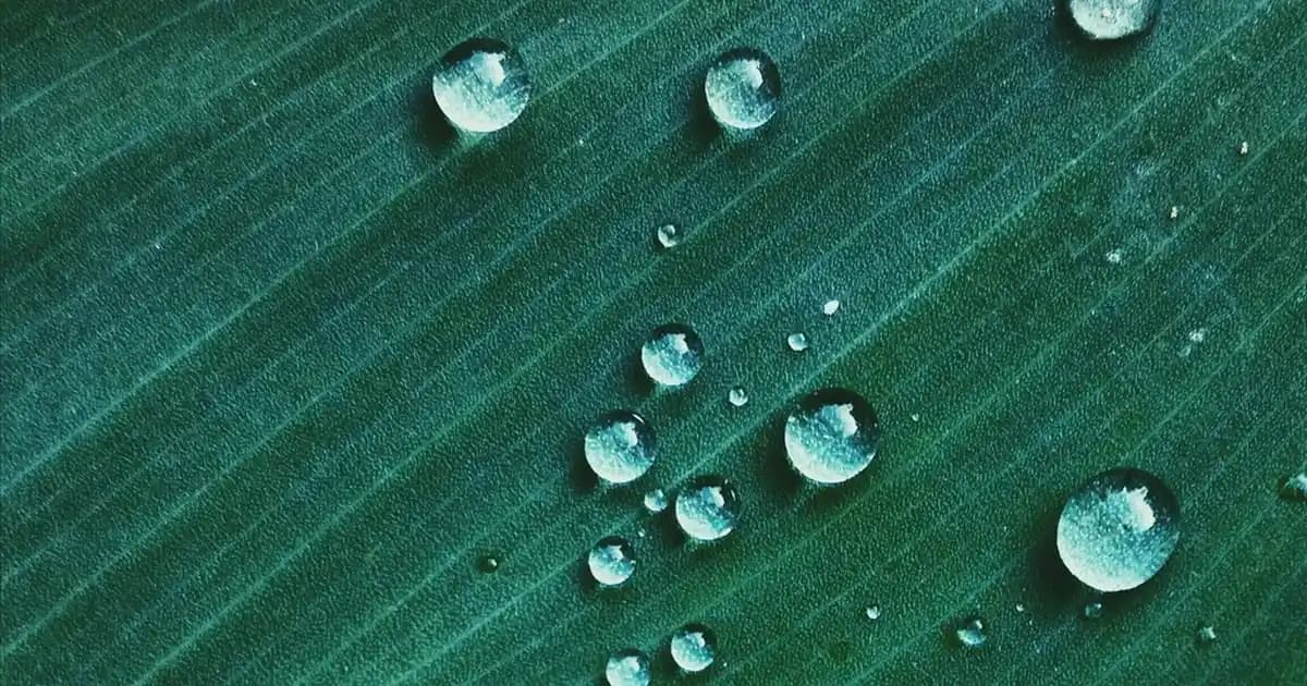 2025'te Yemek Masanızı Baştan Yaratacak 5 Aksesuar Sırrı