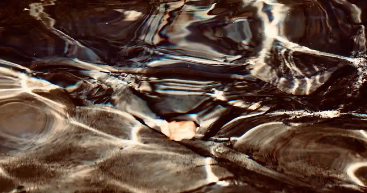 Yemek Masası Aksesuarlarıyla Şık ve Fonksiyonel Dekorasyon İpuçları