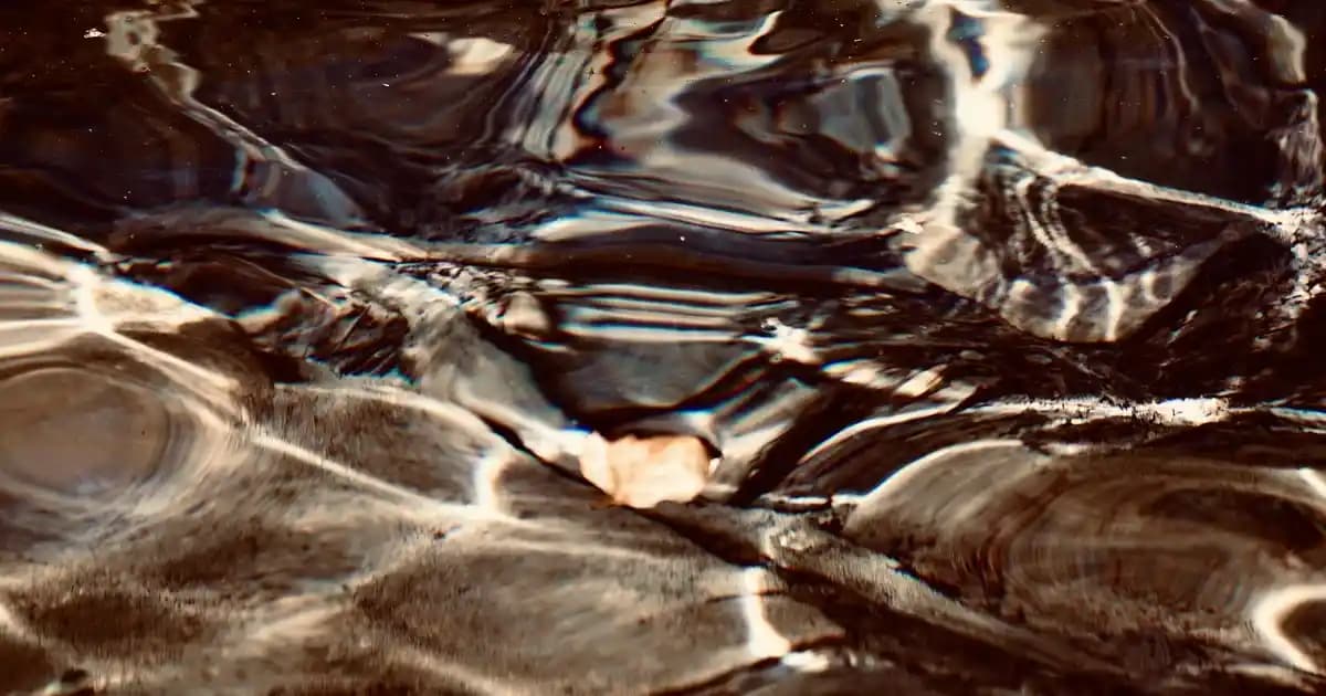 Yemek Masası Aksesuarlarıyla Şık ve Fonksiyonel Dekorasyon İpuçları