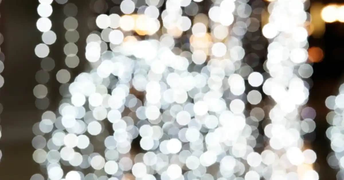 Yeşil Cam Vazo Modelleriyle Dekorasyonunuza Şıklık Katın ve Mekânlara Canlılık Getirin