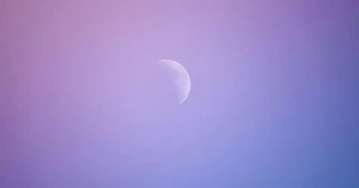 Yeşil ve Sarı Koltuk Takımıyla Modern ve Canlı Oturma Odası Dekorasyonu