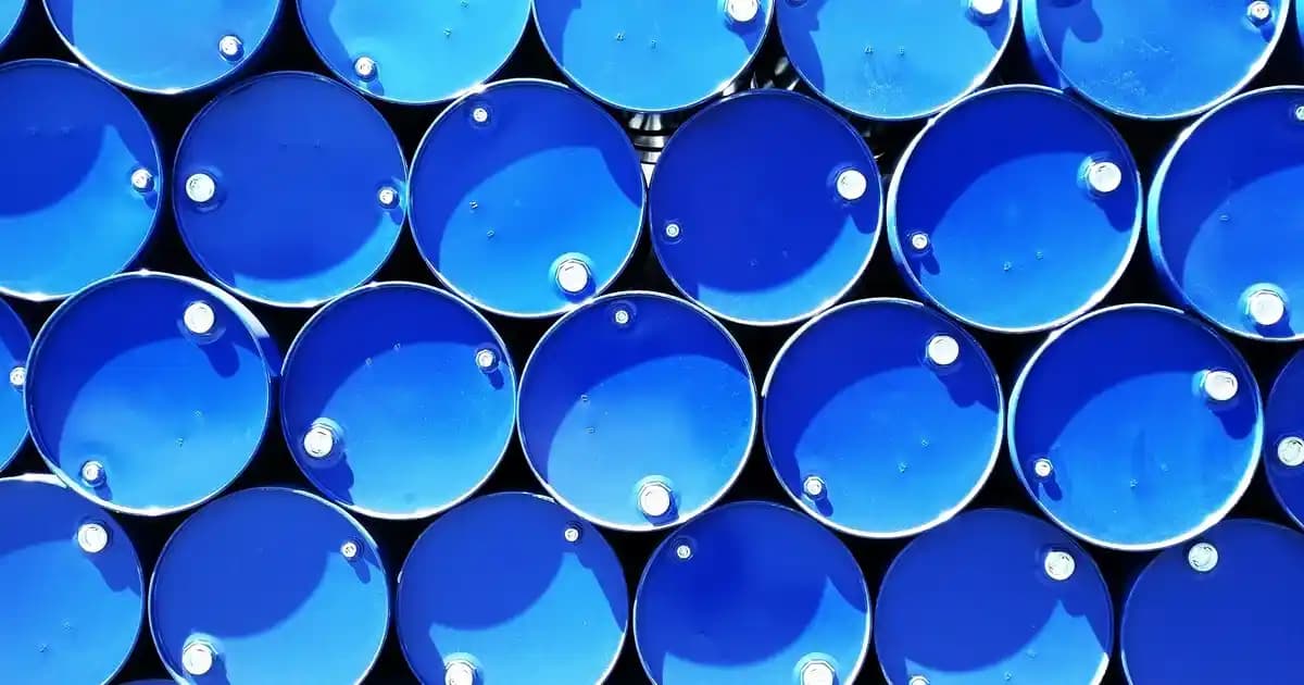 Yün Yastık İçeriği ve Dekorasyonda Kullanım Avantajları Hakkında Detaylı Bilgi