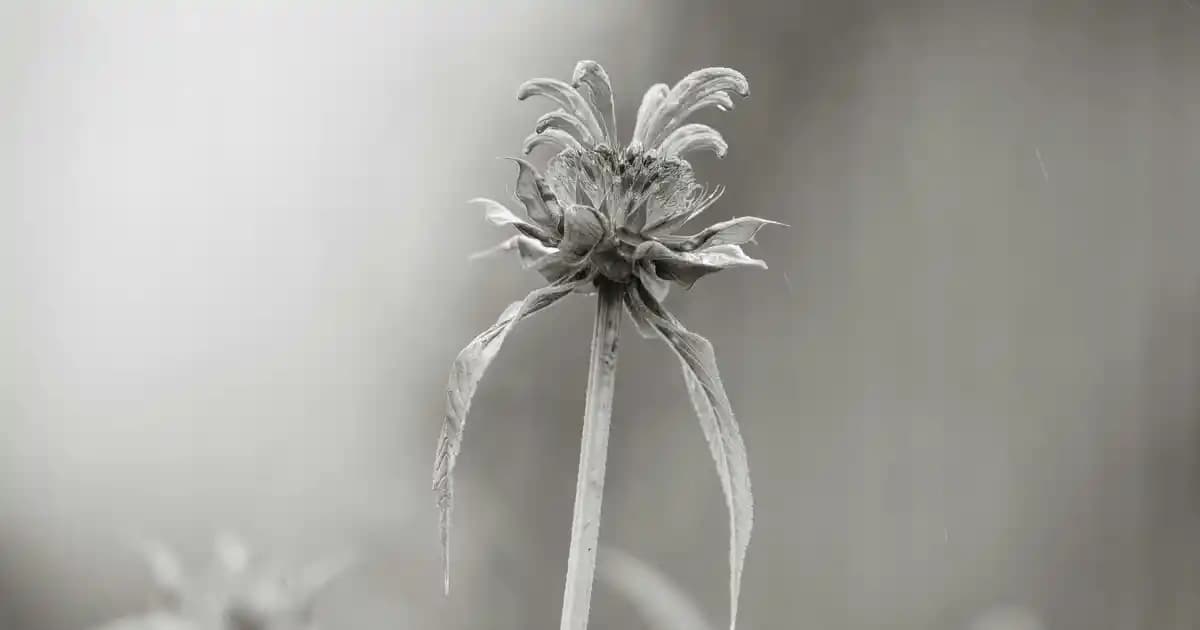 Yuvarlak Ayna Modelleriyle Dekorasyonunuza Modern ve Şık Dokunuşlar Katın