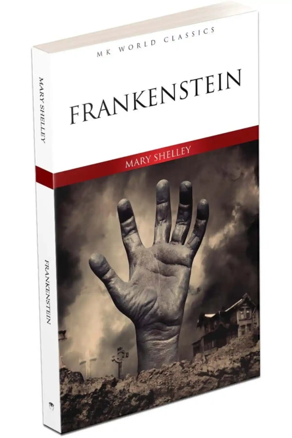 Frankenstein ve A Tale Of Two Cities Romanlarının Detaylı Karşılaştırması ve Özellikleri