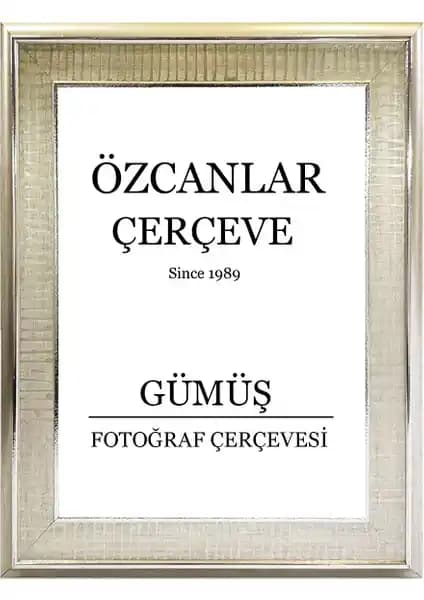 Özcanlar Çerçeve Modelleri Karşılaştırması: Boş ve Avrupa Fonlu Çerçeve Özellikleri