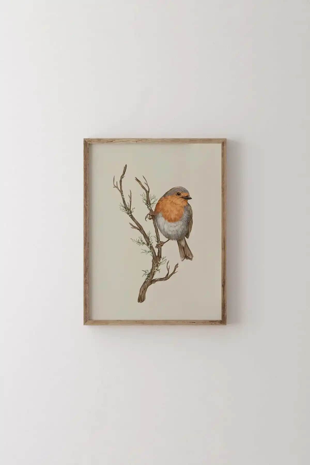 Epiqart Kuş Çizim ve Trifolium Pallidum Ahşap Çerçeve Karşılaştırması