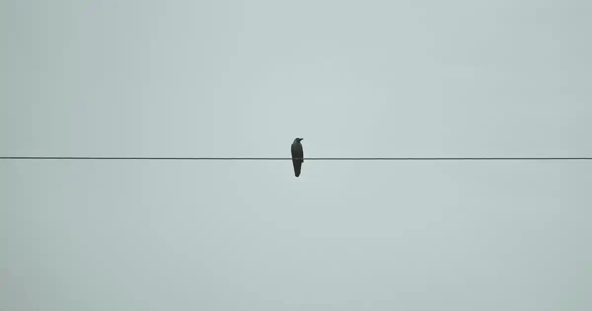 12 Kişilik Çatal Kaşık Bıçak Takımı: Şık ve Dayanıklı Sofra Setleri