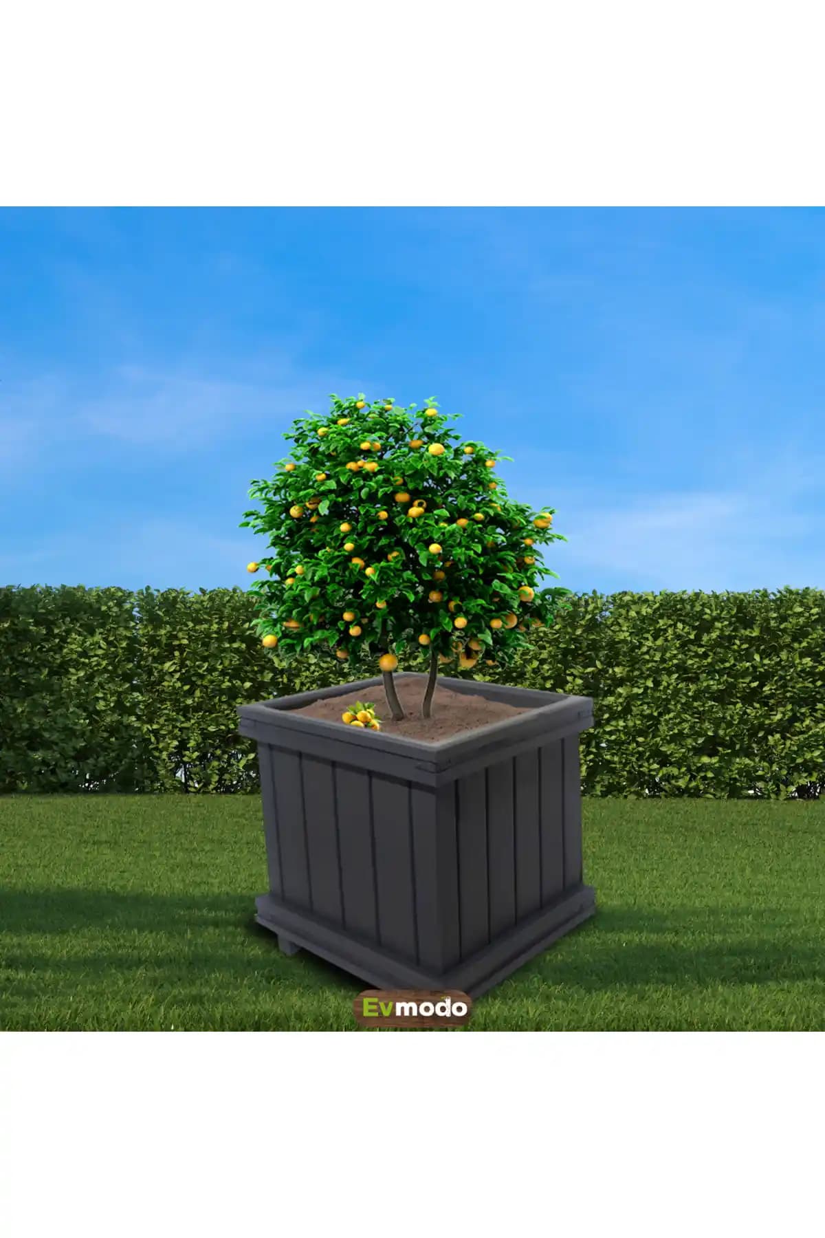 Ağaç Saksısı Dekorasyonunda Doğallık ve Estetiğin Bütünleştiği Yöntemler