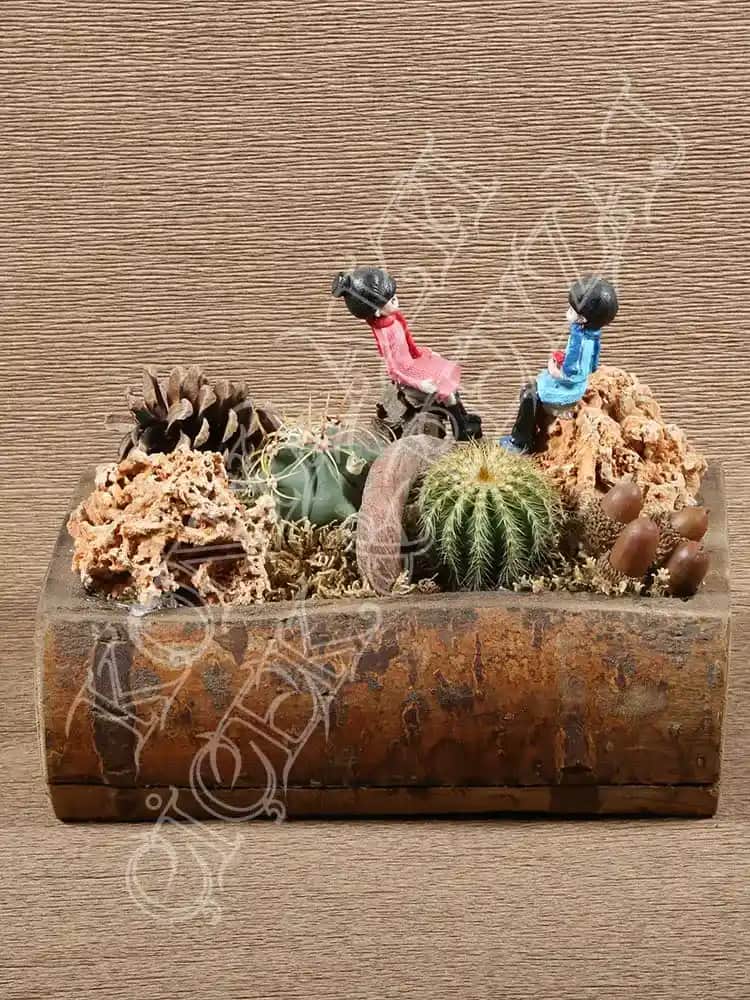 Ahşap Teraryum Dekorasyonu: Doğal ve Şık İç Mekân Süsleme Seçenekleri