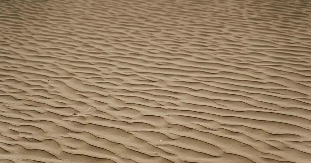 Ahşap Yağdanlık Kutuları: Doğal ve Şık Tasarımlarla Mutfak ve Dekorasyon Çözümleri