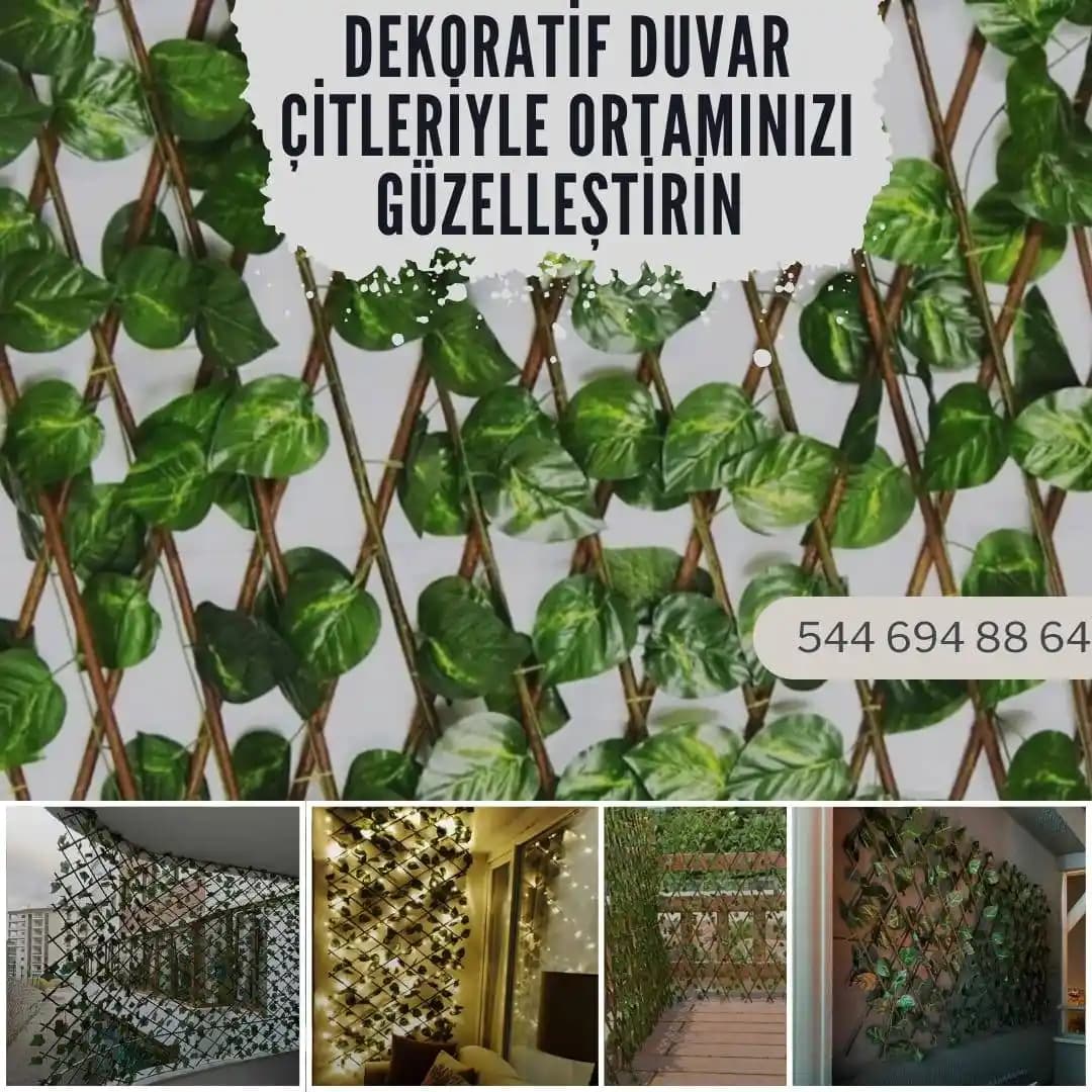 Bahçe İçin Uygun Sarmaşık Türleri ve Bakım İpuçları