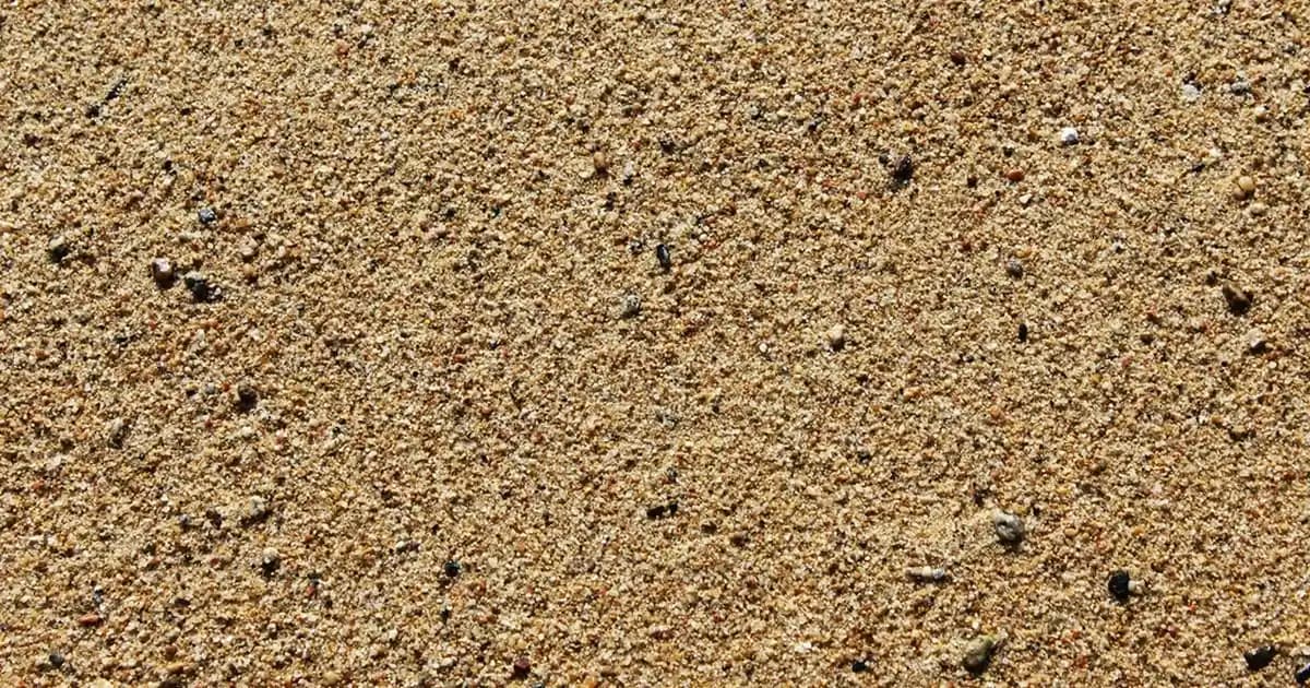 Bambu Çiçeği Dekorasyonunda Doğal ve Şanslı Bir Seçenek Olmanın Yolları