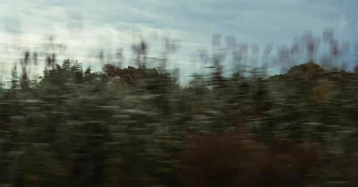 Bambu MDF Nedir ve Dekorasyon ile Mobilyada Sürdürülebilir Kullanım Alanları