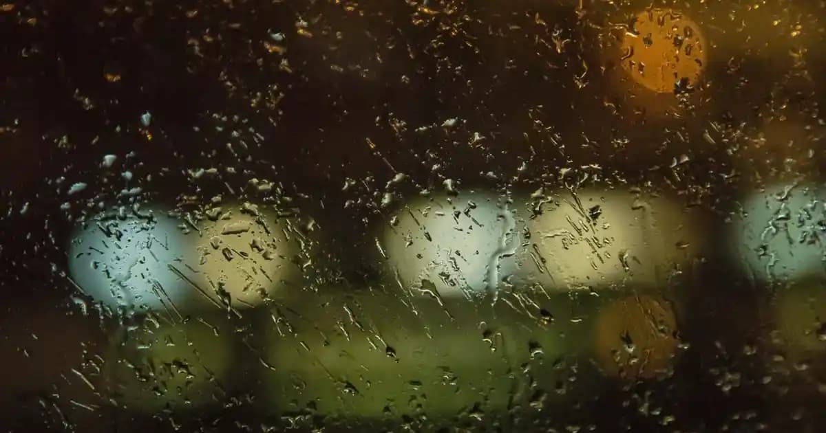 Bambu Mutfak Havlusu: Doğal ve Şık Bir Dekorasyon Unsuru Olarak Sürdürülebilir Tercih