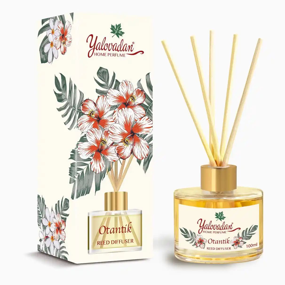 Bambu Oda Kokusu: Doğal ve Şık Dekorasyon Unsuru Olarak Kullanım İpuçları