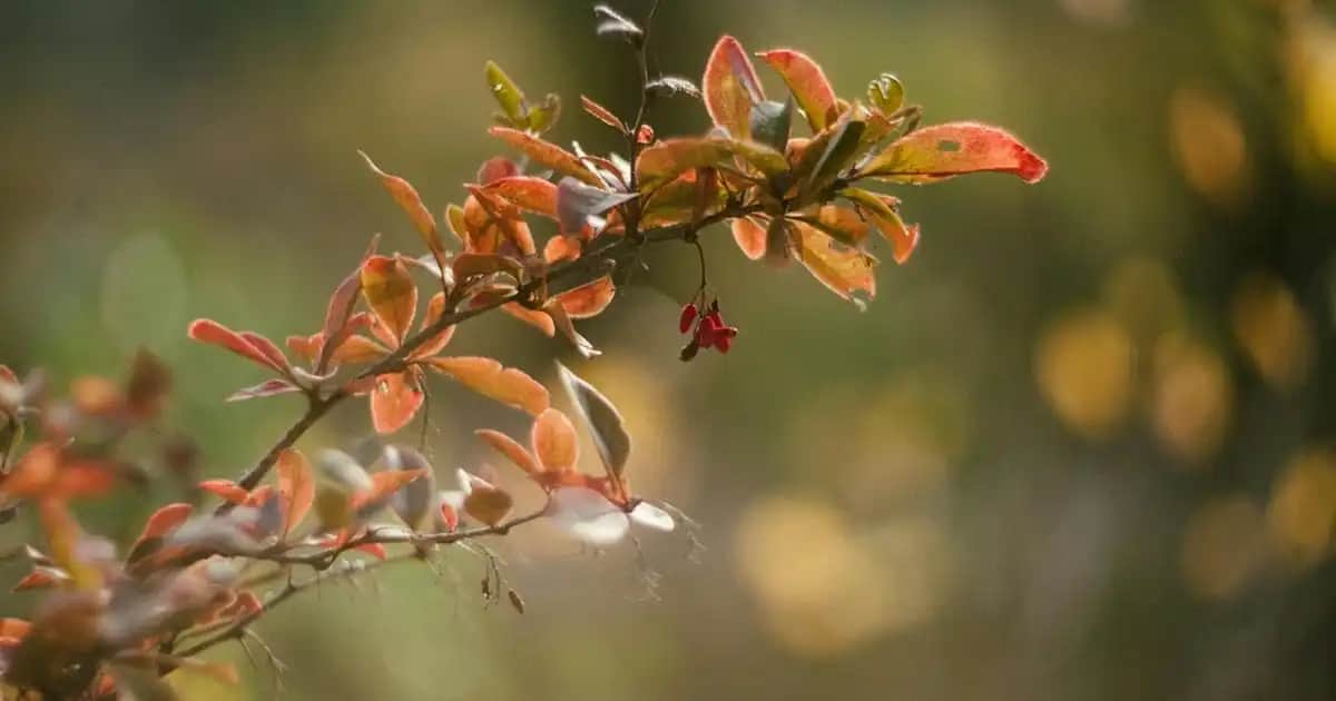 Bebek Alezleri ile Güvenli ve Şık Bebek Odası Dekorasyonu Rehberi