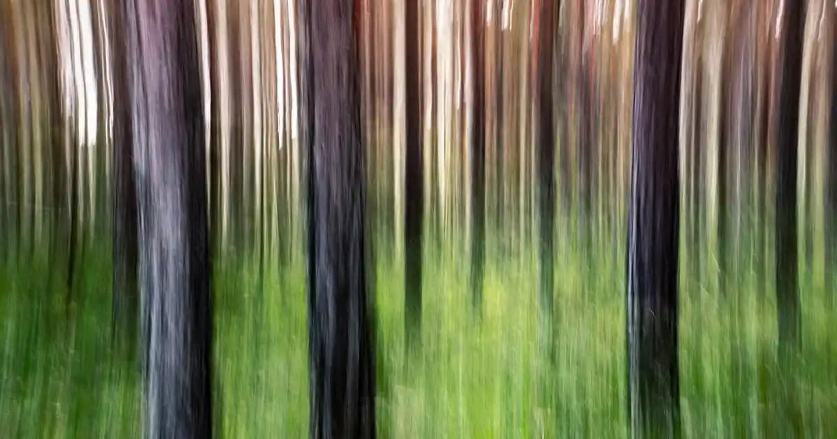 Bim Kadeh ile Dekorasyonda Zarafet ve Çok Yönlü Kullanım İmkanları