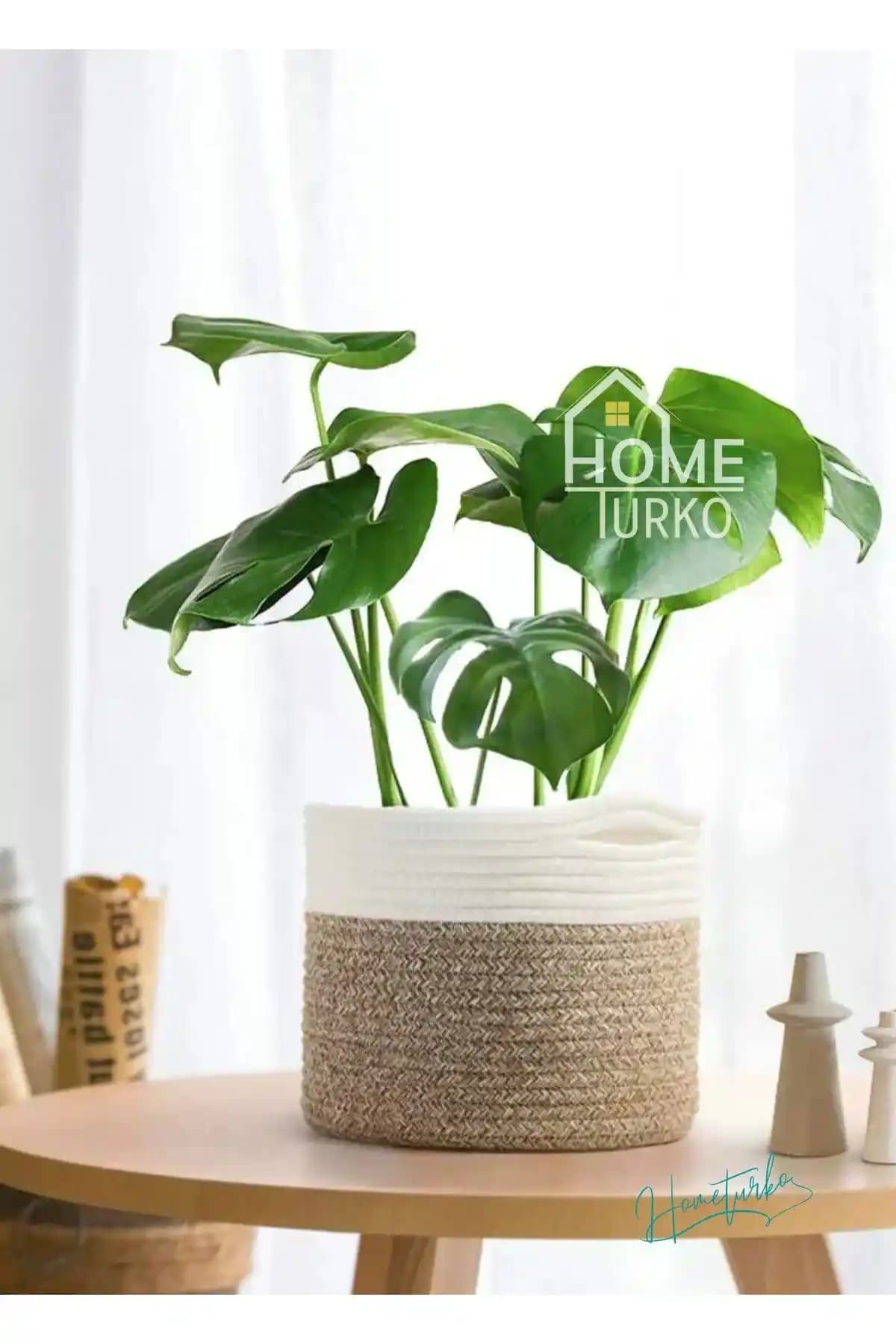 Bohem Saksılarla Doğal ve Şık Bir Dekorasyon Yaratmanın Yolları