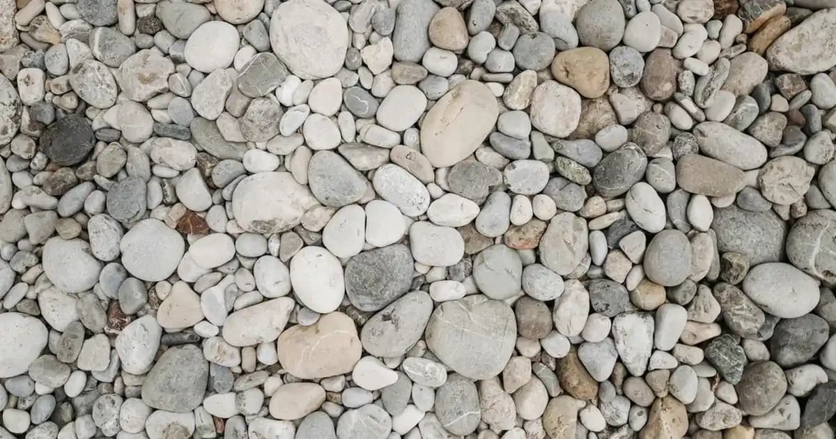 Bulaşıklık Süzmatikleri ile Mutfak Dekorasyonunu Hem Fonksiyonel Hem Estetik Hale Getirin