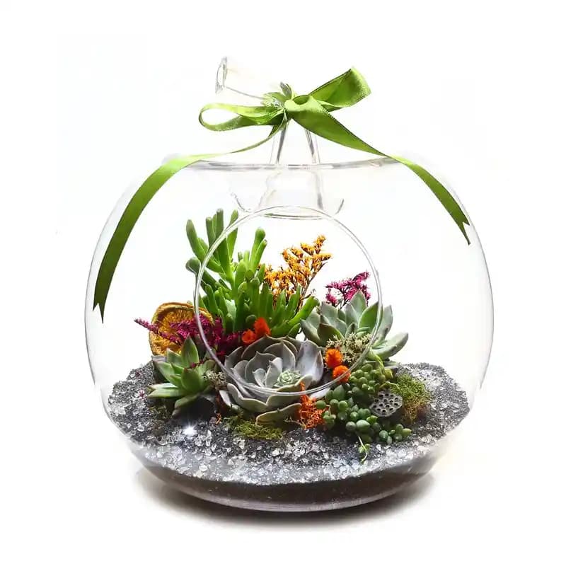 Büyük Teraryumlar ile İç Mekan Dekorasyonunda Doğal ve Estetik Çözümler