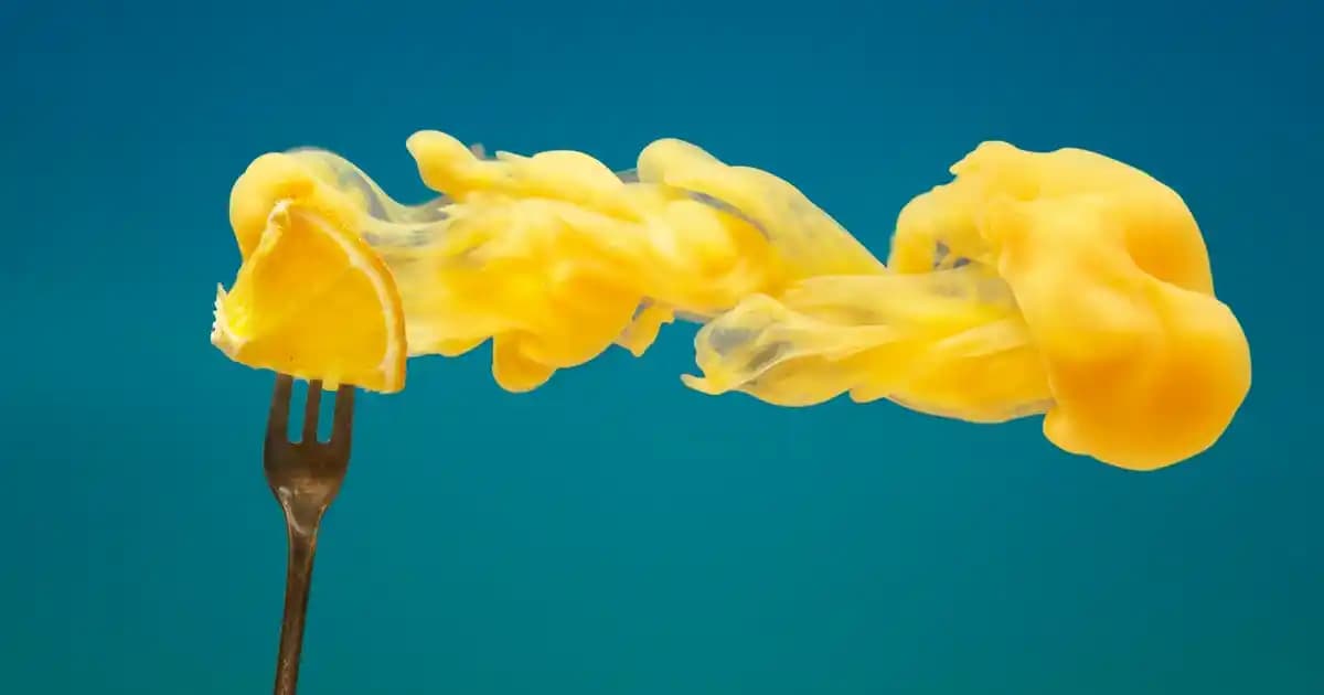 Buzluk Çantası Dekorasyonda Yenilikçi ve Şık Bir Dokunuş Sunar