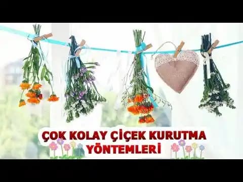 Çiçek Kurutma Yöntemleri ve Dekorasyon için En Etkili Teknikler
