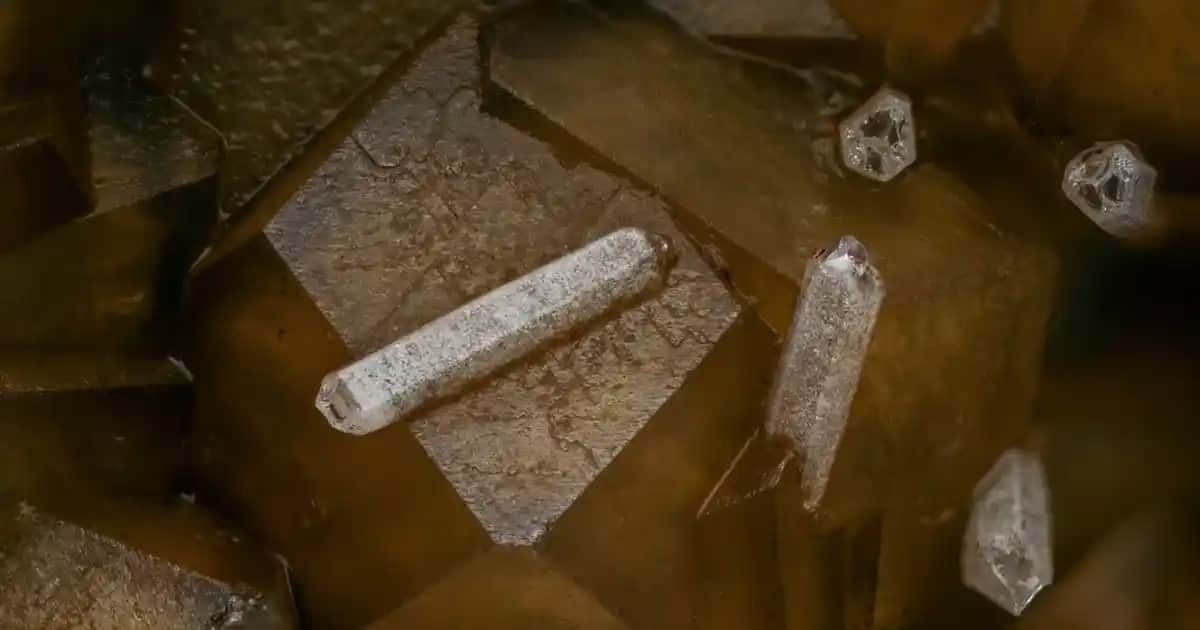 Çift Cidarlı Sosluklar: Modern ve Fonksiyonel Mutfak Dekorasyonunun Vazgeçilmezi