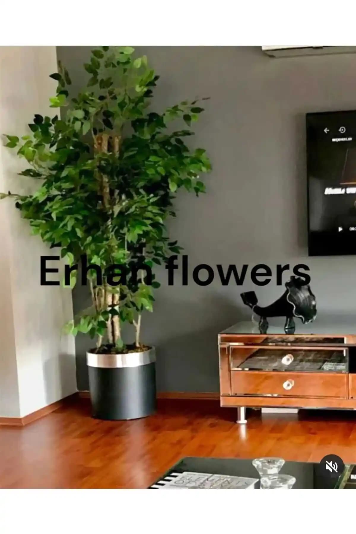 Çocuk Gelişimi ve Eğitimi: Okul Öncesi Dönemde Öğrenme ve Sağlık İpuçları