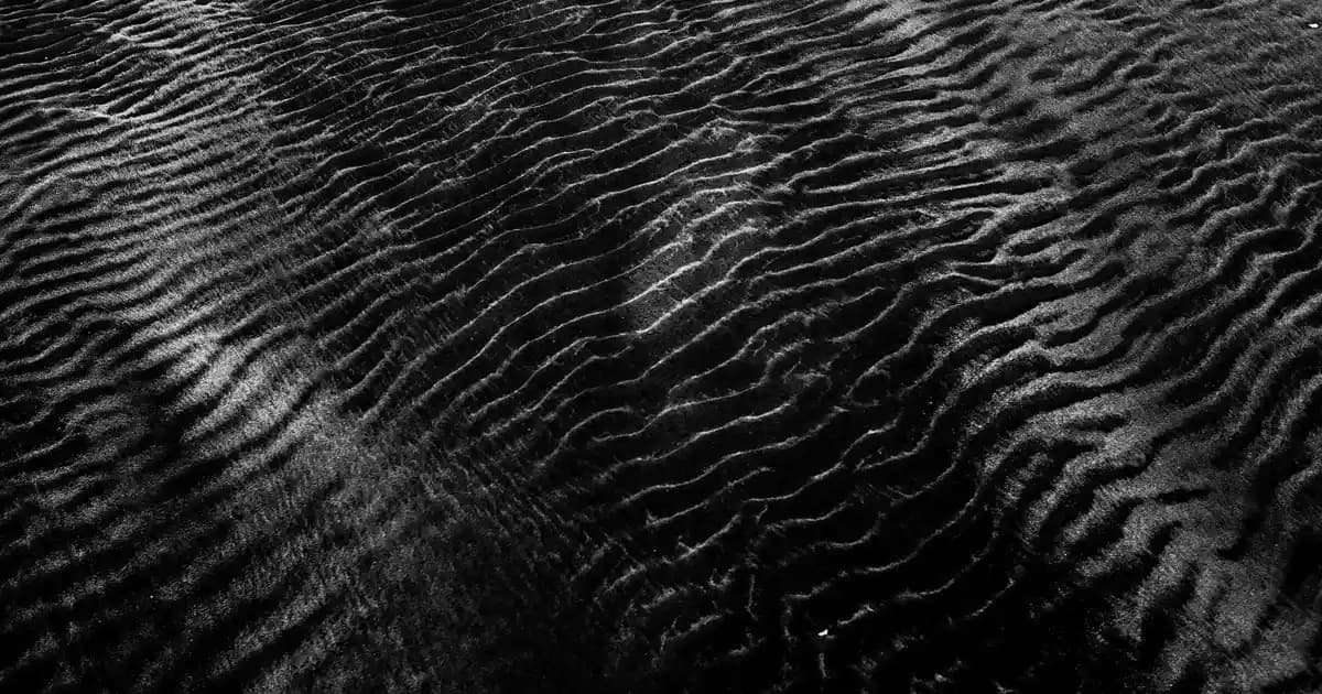 Çoklu Bakliyat Saklama Kabı ile Mutfak Düzeninizi Geliştirin ve Estetik Katın