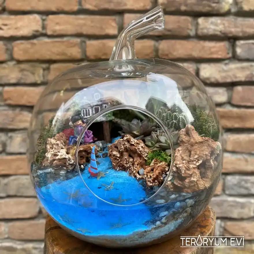 Değişik Teraryum Modelleri ile Evinize Şık ve Doğal Dokunuşlar Yapın